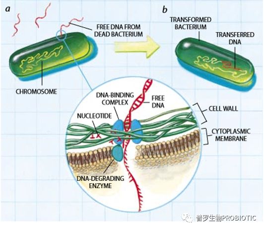 1560748994834193.jpg 3.jpg